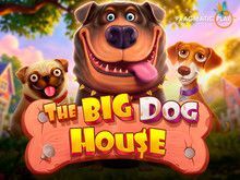 The Big Dog House
